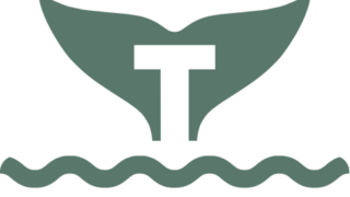 teamTan.Q